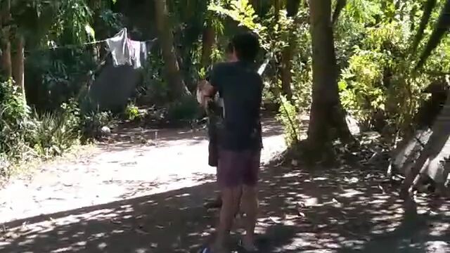 the spartan gray 3wins in 1 month