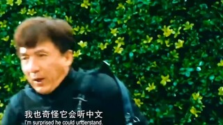 成龙被恶犬追，这波自救，简直笑不活了