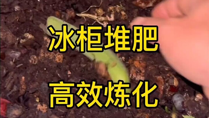 Gak nyangka! Ternyata Membuat Kompos Bisa Bikin Ketagihan!