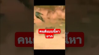 *ดูรวมคลิปเต็มกดลิงค์ข้างบน* คนดีแบบนี้หายาก #รวมคลิปตลก #funny #reels