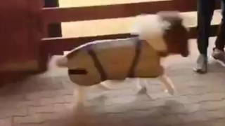 Новая одежда - NaMars.Com