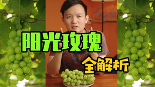 [Fruit Hunter x Hunter] An in-depth look at Sunshine Rose grapes: Refresh your understanding of the 