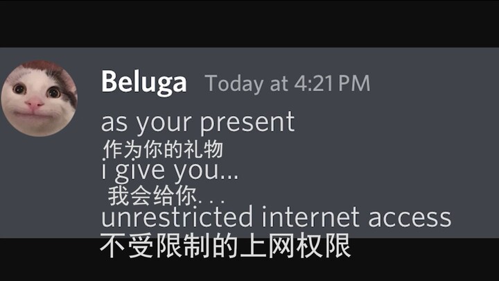 [بيلوغا وأصدقاؤه] ما الذي ينبغي على القط البالغ فعله؟