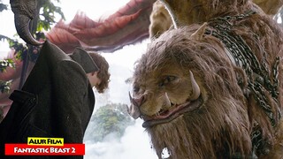 Kisah Petualangan Penakluk Hewan Misterius Di Dunia Sihir | Alur Cerita Film FANTASTIC BEAST (2018)