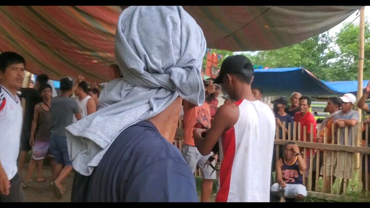 10 6 tawagan grave kalaban 3 times winner kilalang manok pa kuntra samin tinola lines kiniskis sa ba