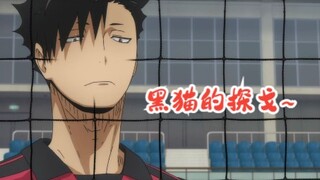 【排球少年/黑尾铁朗】黑尾的黑猫的探戈