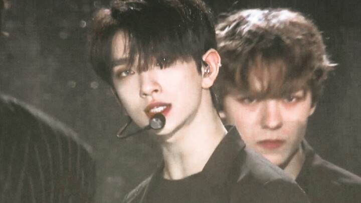 "If I had known my sister liked beautiful things, I wouldn't have pretended."