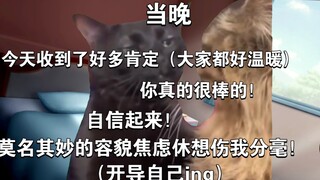 【猫meme】玩cos治好了我的容貌焦虑