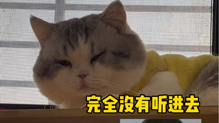 ใกล้จะถึงวันสอบเกาเจ่าแล้ว… ทุกคนช่วยดูหน่อยสิ ลูกบ้านนี้ยังพอมีหวังไหม?
