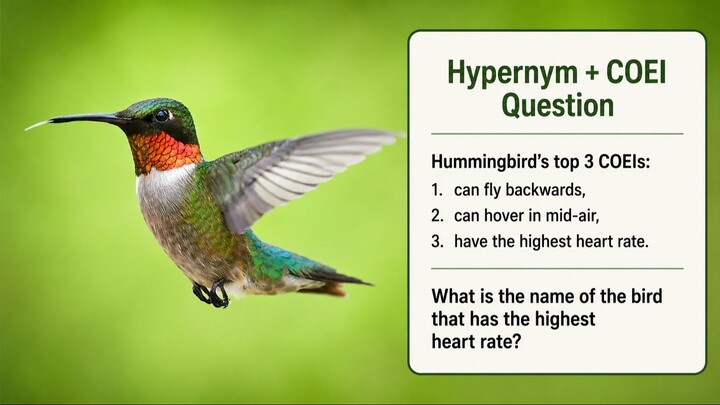 #03 Use Hypernyms to Learn New Words and Make Them "Sticky"