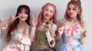 宋雨琦 x 叶舒华 x 韩东《(G)I-DLE - Allergy》舞蹈视频公开！