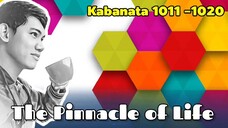 The Pinnacle of Life / Kabanata 1011 - 1020