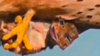 يتوجب علي أن أنام بعين واحدة مفتوحة من الآن فصاعدا.