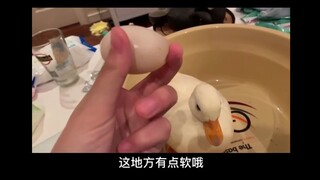 一位妹子录下了柯尔鸭下蛋的过程，网友：鸭蛋怎么做好吃？