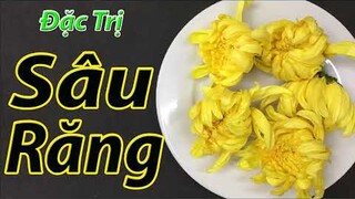 Chỉ vài bông hoa cúc, sâu răng và ê buốt răng nặng đến cỡ nào cũng phải khỏi ( mẹo chữa bệnh )