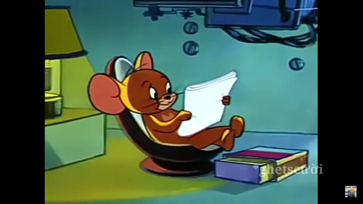 Tình hình covid hiện nay   tom and jerry chế