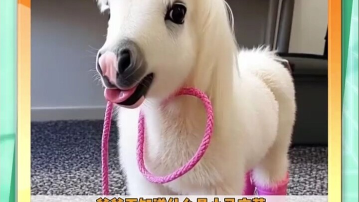 Real-Life My Little Pony