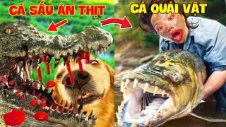 Thú Cưng Vlog | Chó Gâu Đần Golden Troll Mẹ #29 | Chó golden vui nhộn | Funny pets smart dog