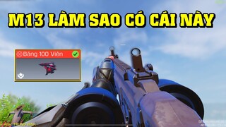 Call of Duty Mobile | M13 CÓ LÀM ĐƯỢC ĐIỀU NÀY GIỐNG HOLGER 141 Born Beast Không ?