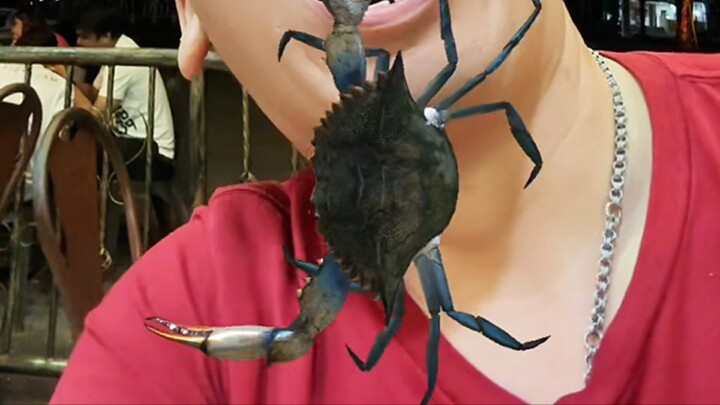 #fuck you crab #tmd死螃蟹