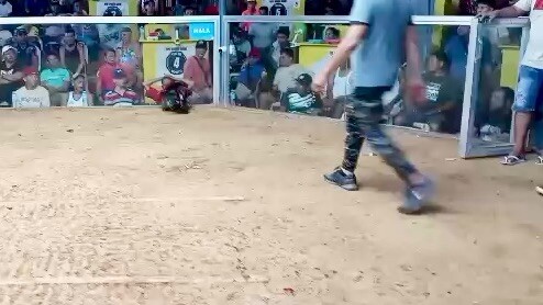 Championshiop fight of super 3hits ulutan..win 12/23/2025