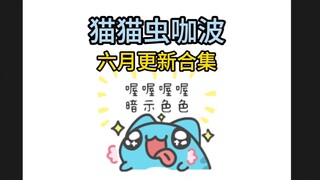 一次性看完猫猫虫咖波六月更新合集