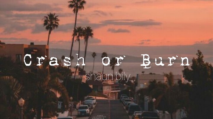 Crash or Burn - Shaun Bily