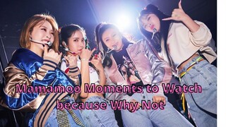 Mamamoo moments to watch because why not