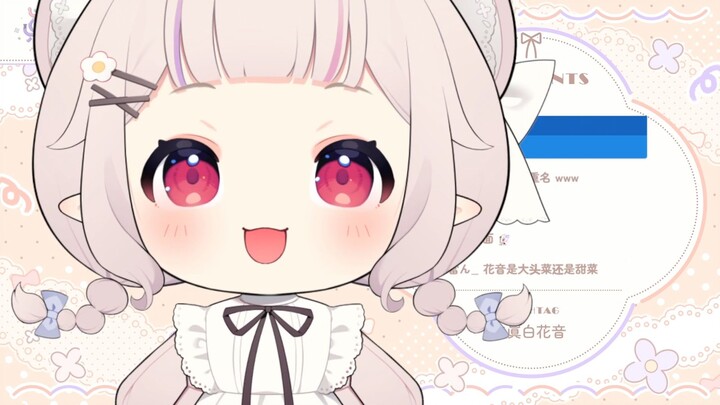 超大版白菜