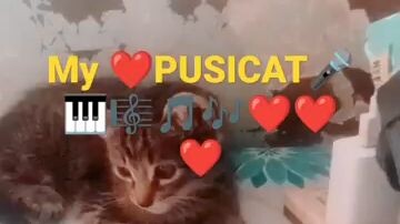 paalam ivory ❤️❤️❤️😭😭😭