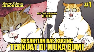 KESAKTIAN RAS KUCING TERKUAT DI MUKA BUMI - Alur Cerita Manhwa