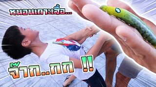 หนอนยักษ์ !! ตัวใหญ่มาก แกล้งเซนซิลค์ กรี๊ดลั่น ... - DING DONG DAD