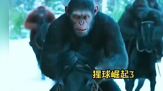 ①人类和猩猩为了争夺地球统治权，展开终极之战《猩球崛起3》