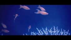 The King of Pigs (2022) Episode 1