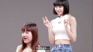 【ترجمة صينية】مؤثر جدًا... بدأتُ أحبُّها منذ PD48، معجبةٌ بها بإخلاصٍ لمدة أربع سنوات، تتحدث من القلب