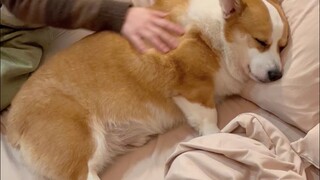 هذا هو طفلي