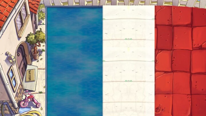 French flag
