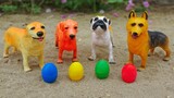 Những chú chó tinh nghịch và bạn gà dễ thương - đồ chơi trẻ em FMC H1074B