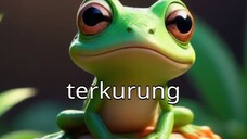 Katak Dalam Tempurung