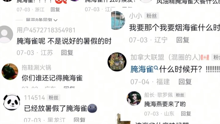 Chim biển muối đã đến!!!