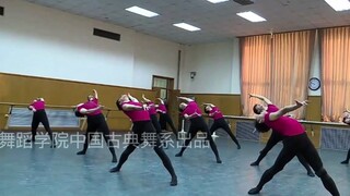 中国古典舞系考试