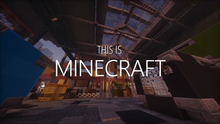 THIS IS MINECRAFT - REALLIFE