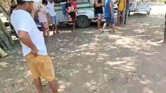 my white kelso first win 9moths old vs 2years bulik