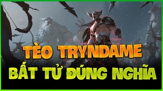 [THROWTHI]Tèo Tryndamere bất tử đúng nghĩa