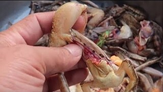 MÓN ĂN ĐỘC LẠ KINH DỊ NÀY CHỈ TÂY BẮC MỚI CÓ