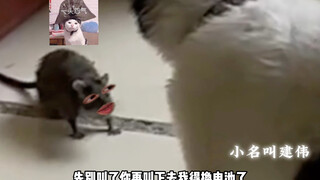 I say "up," you jump