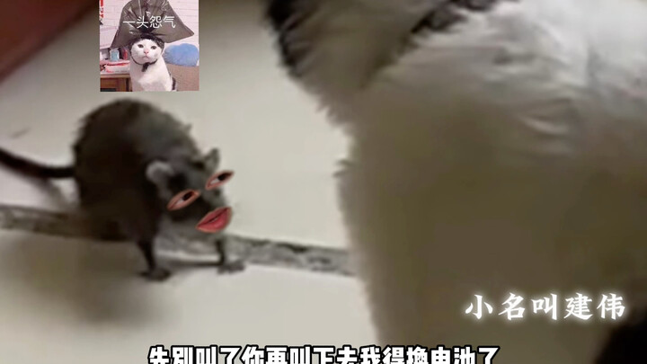 Aku panggil up, kamu langsung lompat