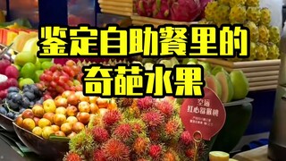 [Fruit Hunter x Hunter] A must-see for foodies! What fruit is the most profitable at a buffet?