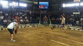 2x winner Hindi nagsugat #possumxblack