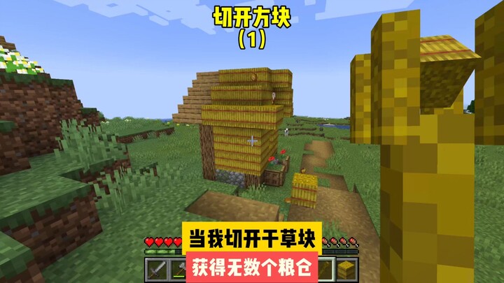 切开方块（1）：当我切开干草块，获得无数个粮仓